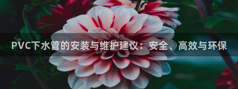 天辰娱乐老板
