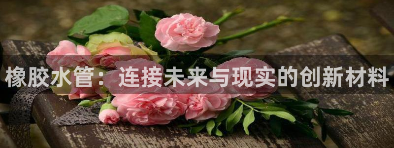 天辰娱乐 44516