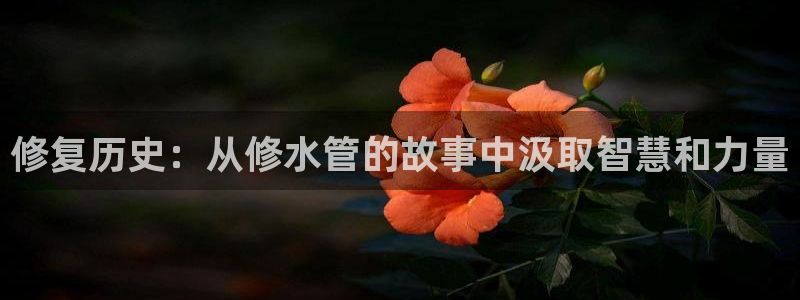天辰娱乐元宝