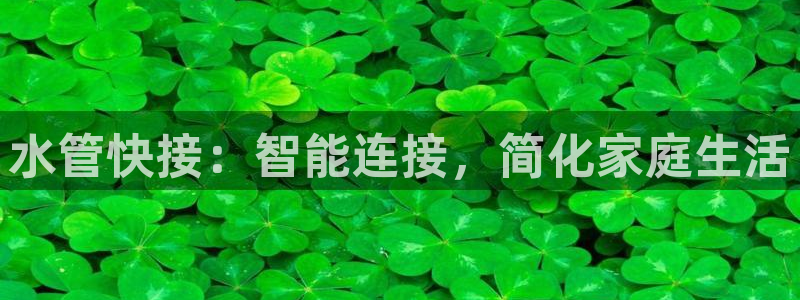 天辰娱乐_675138