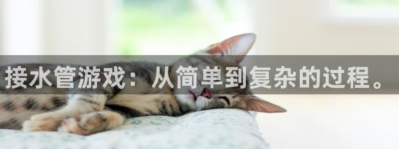 天辰娱乐官方网
