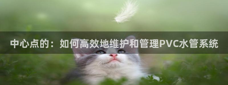 天辰娱乐平台app下载