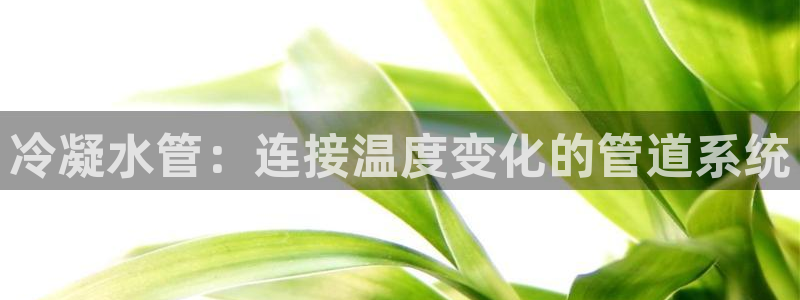 天辰娱乐APP下载