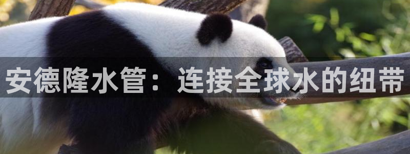 天辰娱乐待遇