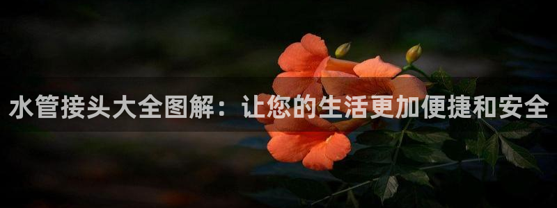 天辰娱乐官方网