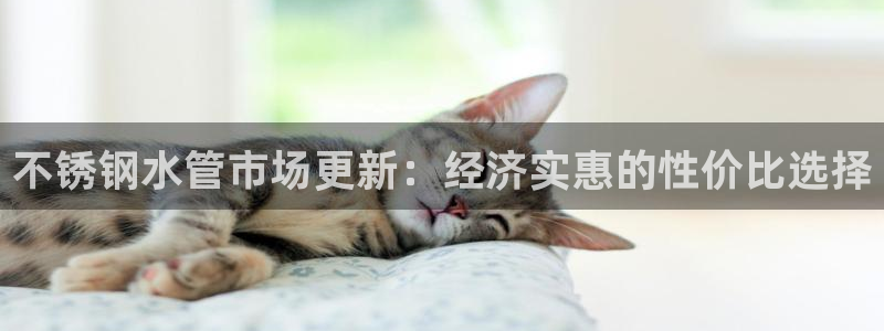 天辰娱乐国际