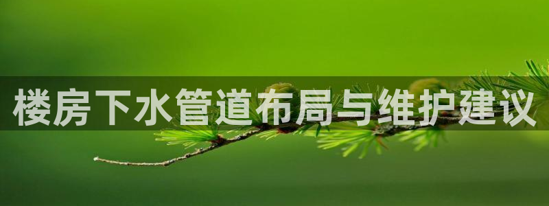 天辰娱乐39596