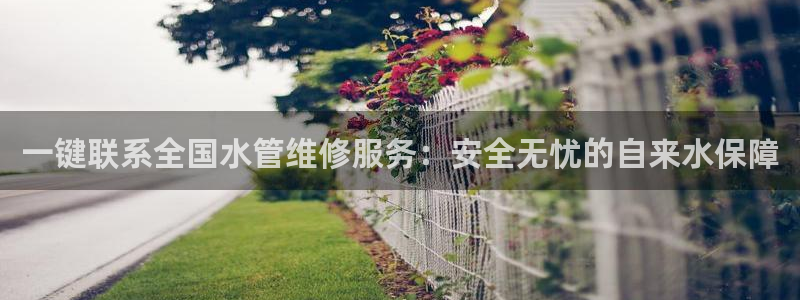 天辰娱乐线路