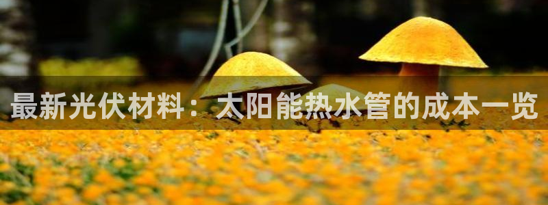 天辰娱乐输了
