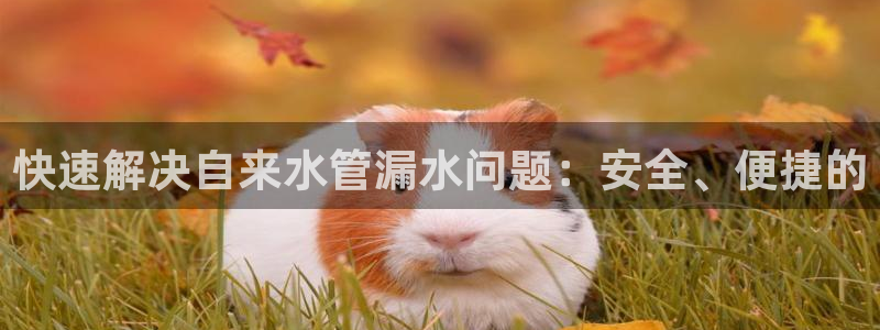 天辰彩票娱乐