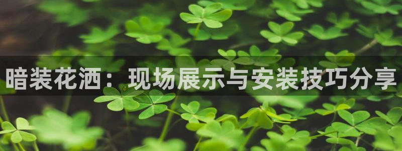 天辰娱乐娱乐