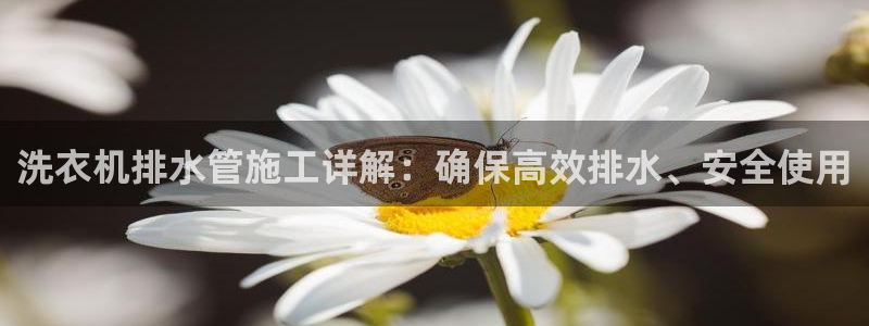 天辰娱乐厕所