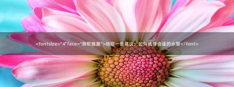 天辰娱乐下载链接