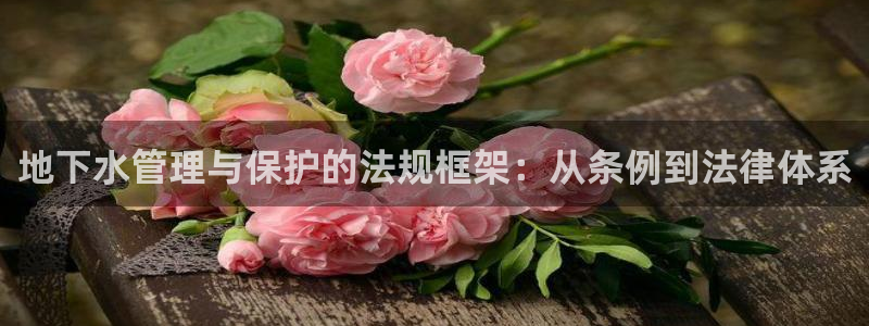 天辰娱乐开户