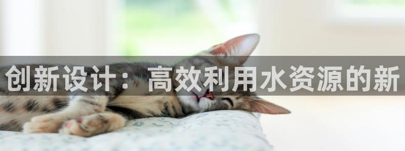 天辰娱乐股东