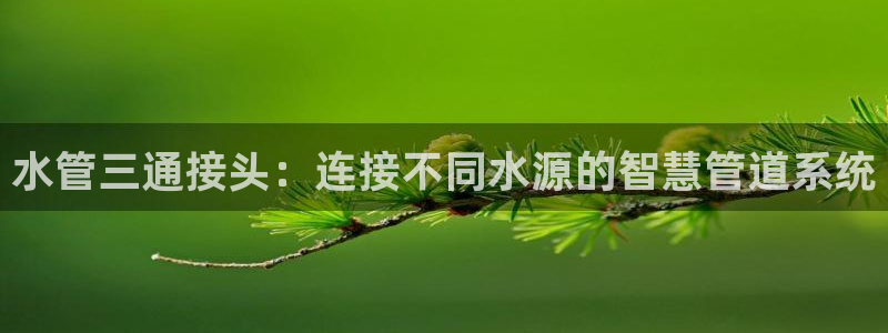 天辰娱乐首选