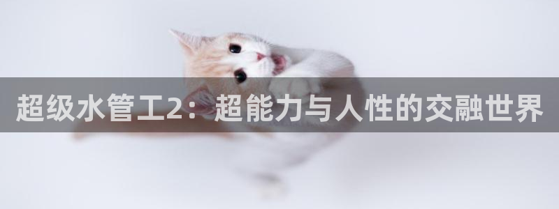 天辰娱乐官网平台入口