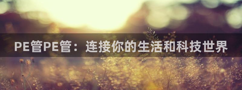 天辰娱乐 主管