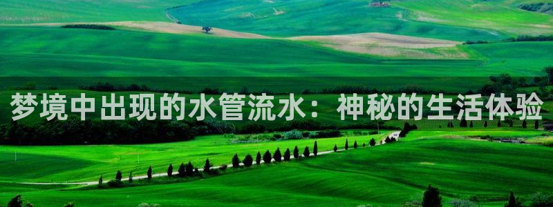 天辰娱乐 主管