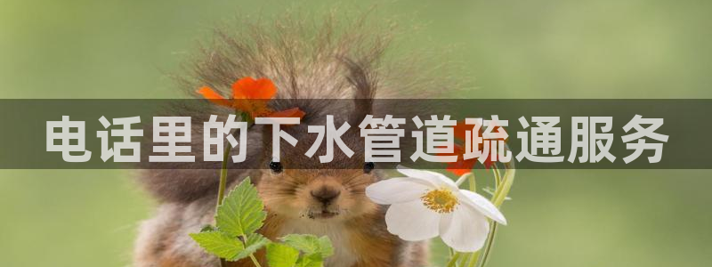 天辰娱乐登陆