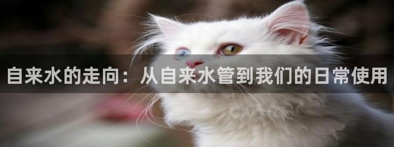天富天辰娱乐