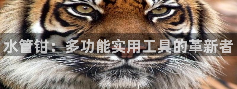 天辰娱乐简介