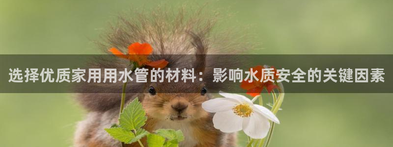 天辰娱乐海洋