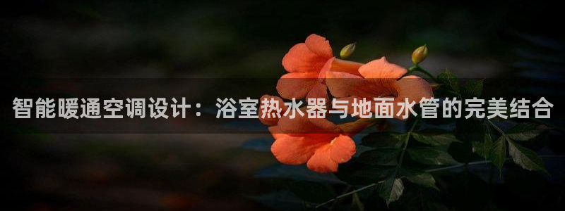 天辰娱乐 qq