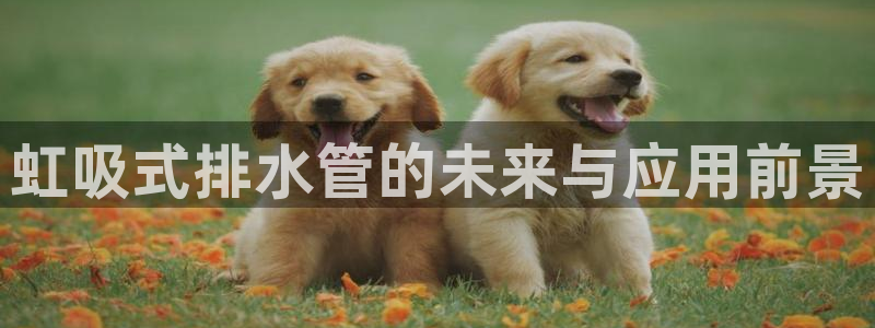 天辰娱乐官方网
