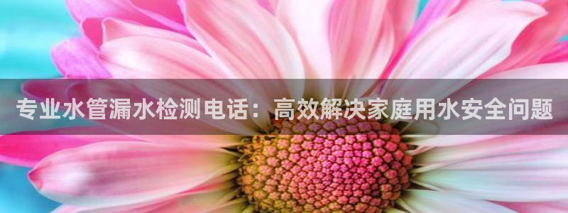 天辰娱乐网