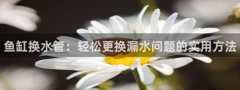 天辰娱乐平台app下载
