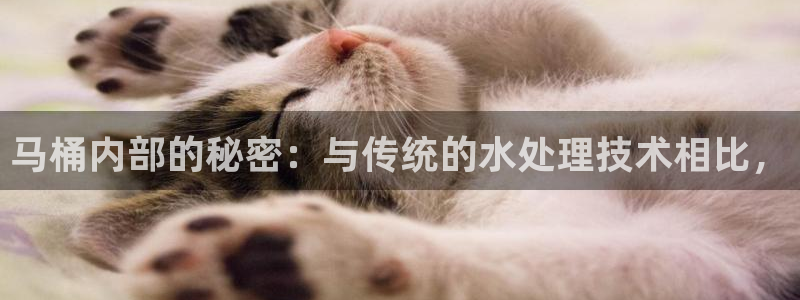 天辰娱乐文案