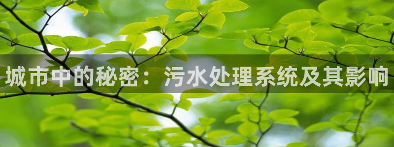 天辰娱乐 主管