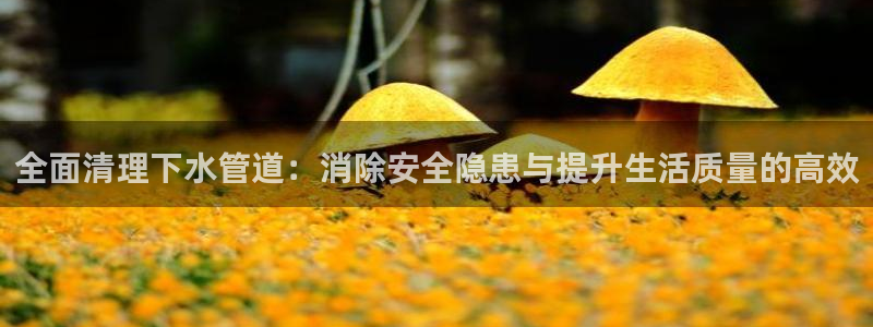 天辰娱乐 18113