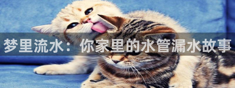 天辰娱乐维护