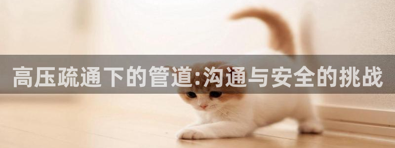 天辰娱乐 主管