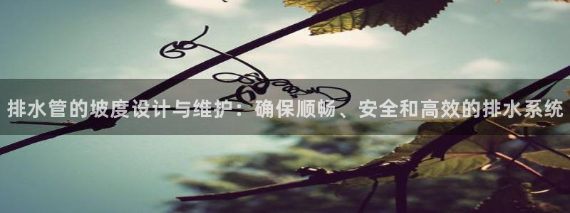 天辰娱乐小妹