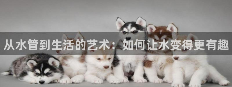 天辰娱乐会员